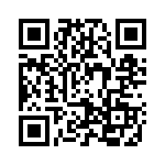 2905319 QRCode