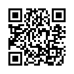 2907197 QRCode