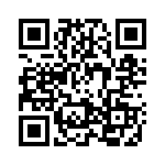 2907497 QRCode