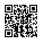 2917036 QRCode