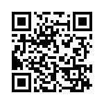 293234-4 QRCode