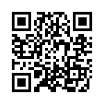 2B1-J QRCode