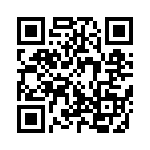 300100240105 QRCode