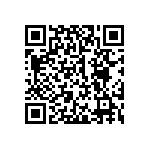 300AWSP4J4WHTM1QE QRCode