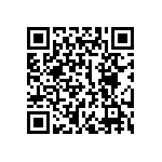 300DP4J6BLKVS2QE QRCode