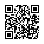 300X10909X QRCode