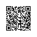 317-87-123-41-022101 QRCode