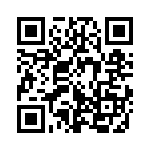 353LB3C250T QRCode