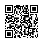 353LB3I135R QRCode