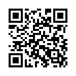 353NB3A491T QRCode