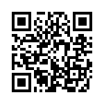 353NB3C480T QRCode