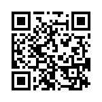 353NB3C491T QRCode