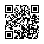 353NB3I447T QRCode