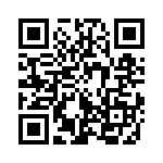 353NB5A307T QRCode