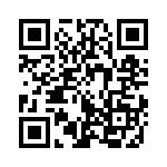 353NB5I307T QRCode