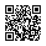 353NB5I388R QRCode