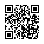 353TB3A384T QRCode