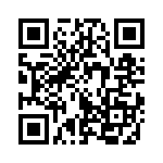 353TB5I384T QRCode