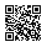 353VB3I100T QRCode