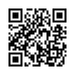 353VB5A480T QRCode