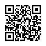 353VB5I250T QRCode