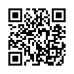 353VB5I307R QRCode