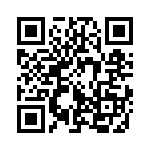 353WB5C480T QRCode