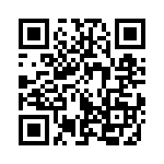 353WB5I491R QRCode