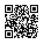 379 QRCode