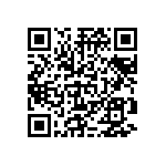 383LX132M450B092V QRCode