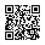 385_273 QRCode