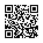 38BT-4-V-3-S QRCode