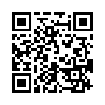 4-1393816-1 QRCode