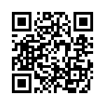 4-1393817-9 QRCode