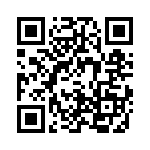 4-1734506-1 QRCode