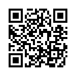 4-1734839-4 QRCode