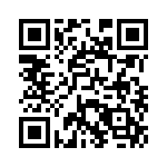 4-2172063-2 QRCode