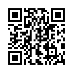 4-641213-5 QRCode