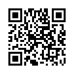 4060CPCE10B868 QRCode