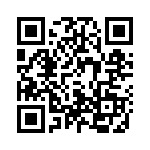 4091 QRCode