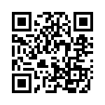 4106_17B QRCode