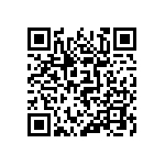 416-87-248-41-013101 QRCode