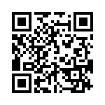 42-6513-11H QRCode