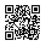 42010 QRCode