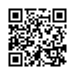 4281-9PG-300 QRCode