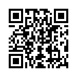 4281-9SG-300 QRCode