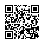 4291-4PG-3ES QRCode