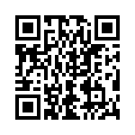 4291-4SG-300 QRCode