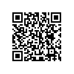 445C33E13M00000 QRCode