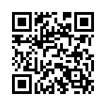 45JR33 QRCode